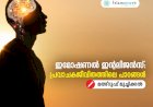 ഇമോഷണൽ ഇന്റലിജൻസ്: പ്രവാചകജീവിതത്തിലെ പാഠങ്ങൾ