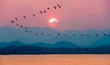 സമുദായം:സമുദ്ധാരണത്തിന്റെ നേര്‍കാഴ്ചകള്‍