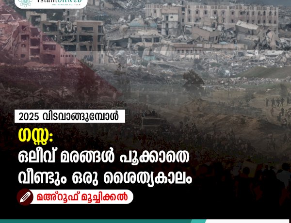 2025 വിടവാങ്ങുമ്പോൾ:  ഗസ്സ: ഒലീവ് മരങ്ങൾ പൂക്കാതെ വീണ്ടും ഒരു ശൈത്യകാലം മഅ്റൂഫ് മൂച്ചിക്കൽ