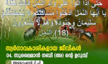 സ്വര്‍ഗ്ഗാവകാശികളായ ജീവികള്‍ 4: സുലൈമാൻ നബി (അ) ൻ്റെ ഉറുമ്പ്