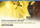 സ്വര്‍ഗ്ഗാവകാശികളായ ജീവികള്‍ 09: മൂസാ നബി(അ) ന്റെ കാലത്തെ 'ഇസ്രായീൽ പശു'