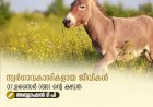 സ്വര്‍ഗ്ഗാവകാശികളായ ജീവികള്‍ 07.ഉസൈർ (അ) ൻ്റെ കഴുത