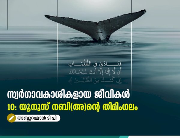 സ്വര്‍ഗ്ഗാവകാശികളായ ജീവികള്‍10: യൂനുസ് നബി(അ)ന്റെ തിമിംഗലം
