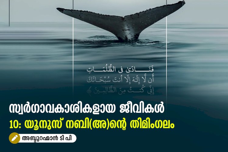 സ്വര്‍ഗ്ഗാവകാശികളായ ജീവികള്‍10: യൂനുസ് നബി(അ)ന്റെ തിമിംഗലം