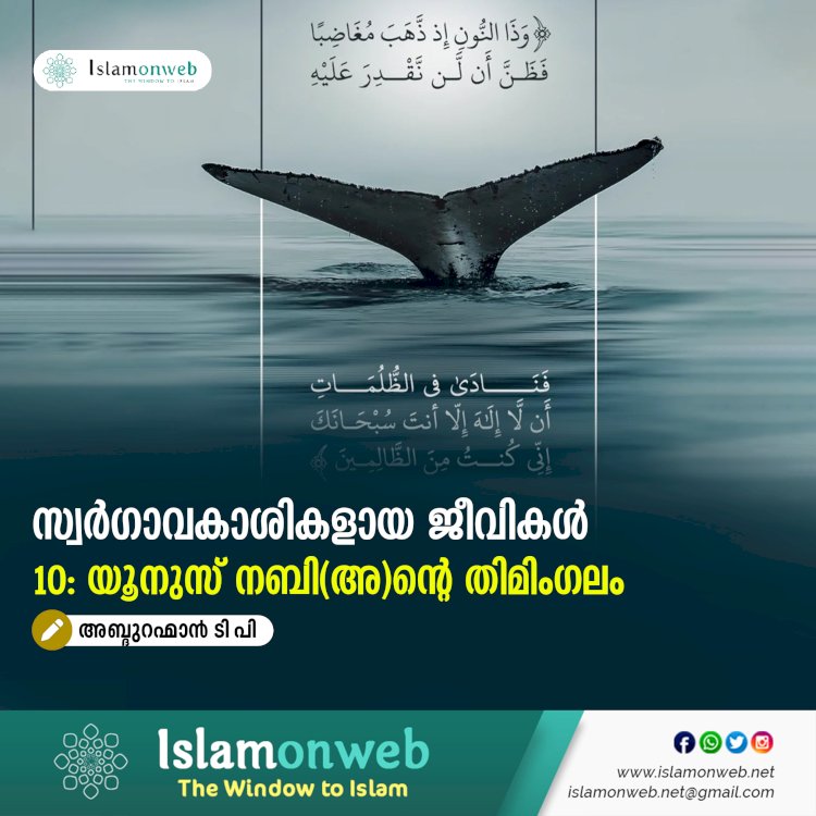 സ്വര്‍ഗ്ഗാവകാശികളായ ജീവികള്‍10: യൂനുസ് നബി(അ)ന്റെ തിമിംഗലം