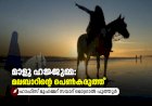 മാളു ഹജ്ജുമ്മ: മലബാറിന്റെ പെൺകരുത്ത്