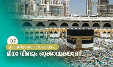 മിനാ വീണ്ടും ഒറ്റക്കാവുകയാണ്...
