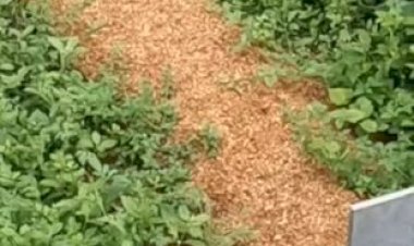 തങ്കയത്തില്‍ കുഞ്ഞാപ്പ മുസ്‌ലിയാര്‍