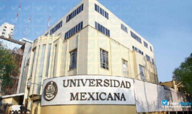 മെക്‌സിന്‍ സര്‍വകലാശാലയില്‍ അറബ് ഭാഷാ പഠനം പരിചയപ്പെടുത്തി പുതിയ കരിക്കുലം