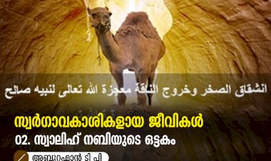 സ്വര്‍ഗ്ഗാവകാശികളായ ജീവികള്‍ 02: സ്വാലിഹ് നബിയുടെ ഒട്ടകം