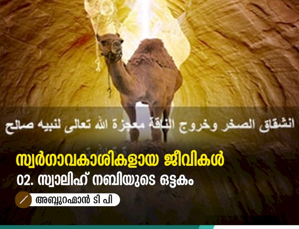 സ്വര്‍ഗ്ഗാവകാശികളായ ജീവികള്‍ 02: സ്വാലിഹ് നബിയുടെ ഒട്ടകം