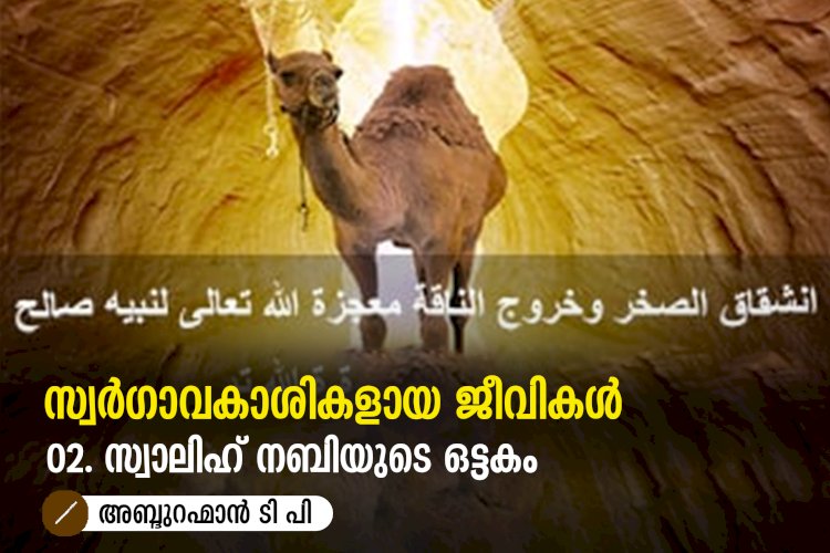 സ്വര്‍ഗ്ഗാവകാശികളായ ജീവികള്‍ 02: സ്വാലിഹ് നബിയുടെ ഒട്ടകം