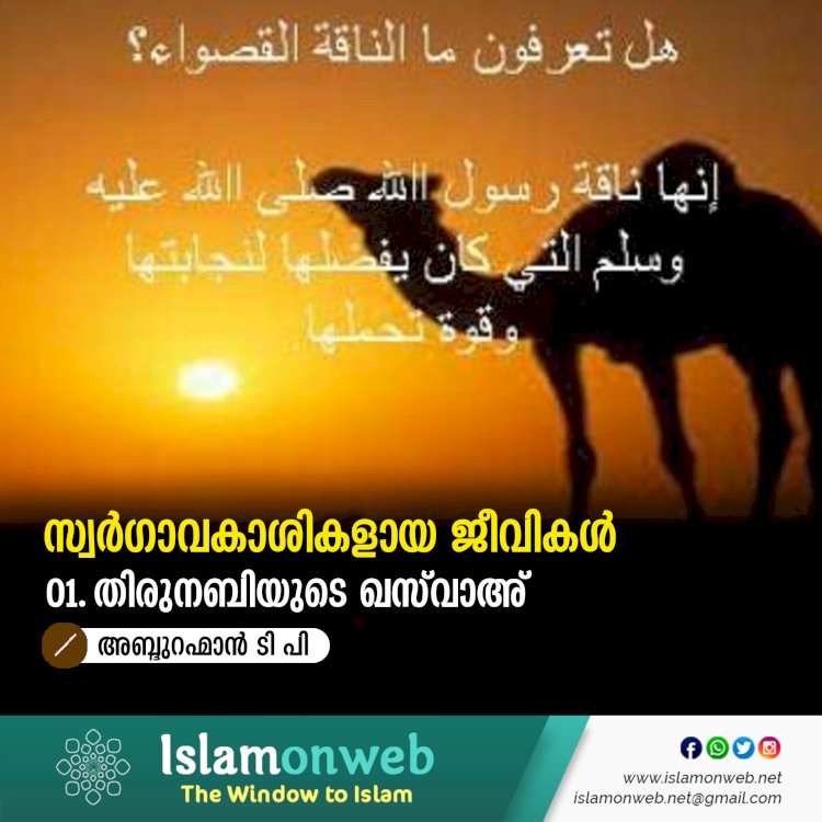 സ്വർഗാവകാശികളായ ജീവികൾ 01. തിരുനബിയുടെ ഖസ്‍വാഅ്