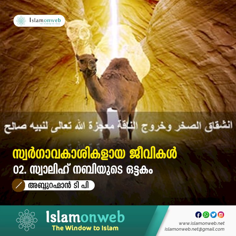 സ്വര്‍ഗ്ഗാവകാശികളായ ജീവികള്‍ 02: സ്വാലിഹ് നബിയുടെ ഒട്ടകം