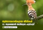 സ്വര്‍ഗ്ഗാവകാശികളായ ജീവികള്‍ 3: സുലൈമാൻ നബിയുടെ ഹുദ്ഹുദ്
