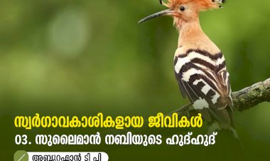 സ്വര്‍ഗ്ഗാവകാശികളായ ജീവികള്‍ 3: സുലൈമാൻ നബിയുടെ ഹുദ്ഹുദ്