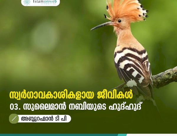 സ്വര്‍ഗ്ഗാവകാശികളായ ജീവികള്‍ 3: സുലൈമാൻ നബിയുടെ ഹുദ്ഹുദ്