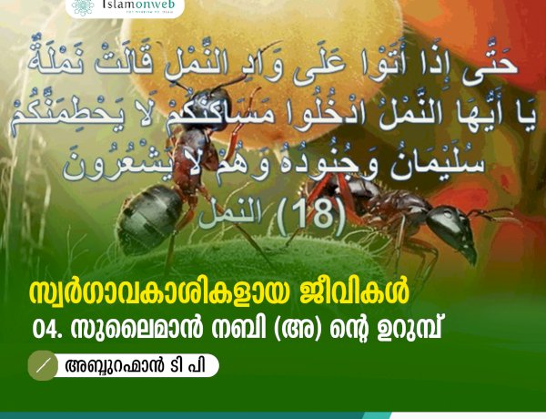 സ്വര്‍ഗ്ഗാവകാശികളായ ജീവികള്‍ 4: സുലൈമാൻ നബി (അ) ൻ്റെ ഉറുമ്പ്