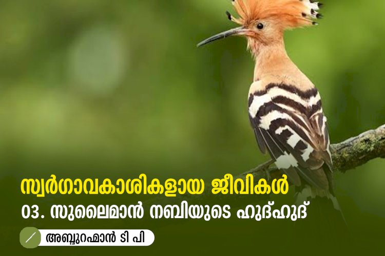 സ്വര്‍ഗ്ഗാവകാശികളായ ജീവികള്‍ 3: സുലൈമാൻ നബിയുടെ ഹുദ്ഹുദ്