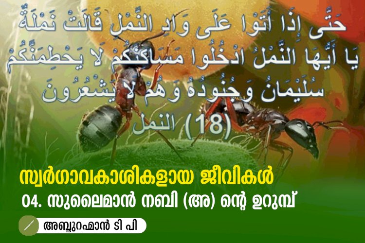 സ്വര്‍ഗ്ഗാവകാശികളായ ജീവികള്‍ 4: സുലൈമാൻ നബി (അ) ൻ്റെ ഉറുമ്പ്