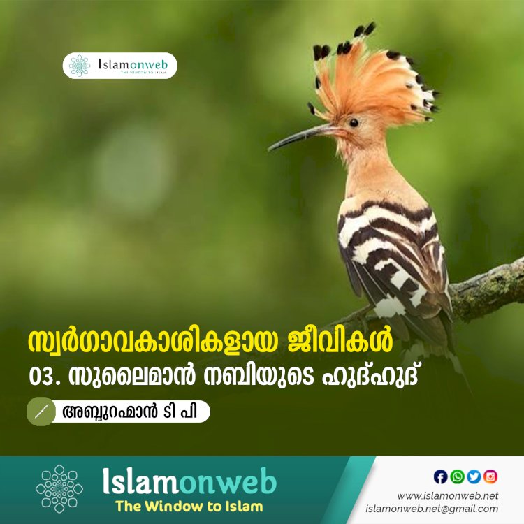 സ്വര്‍ഗ്ഗാവകാശികളായ ജീവികള്‍ 3: സുലൈമാൻ നബിയുടെ ഹുദ്ഹുദ്