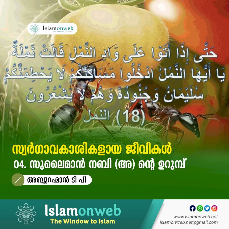 സ്വര്‍ഗ്ഗാവകാശികളായ ജീവികള്‍ 4: സുലൈമാൻ നബി (അ) ൻ്റെ ഉറുമ്പ്