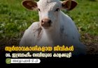 സ്വര്‍ഗ്ഗാവകാശികളായ ജീവികള്‍ 06.ഇബ്രാഹീം നബിയുടെ കാളക്കുട്ടി
