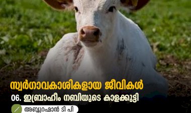 സ്വര്‍ഗ്ഗാവകാശികളായ ജീവികള്‍ 06.ഇബ്രാഹീം നബിയുടെ കാളക്കുട്ടി