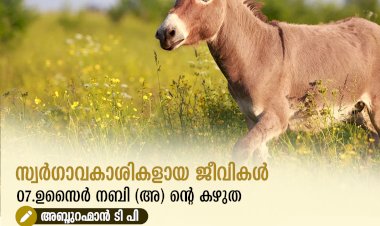 സ്വര്‍ഗ്ഗാവകാശികളായ ജീവികള്‍ 07.ഉസൈർ നബി (അ) ൻ്റെ കഴുത