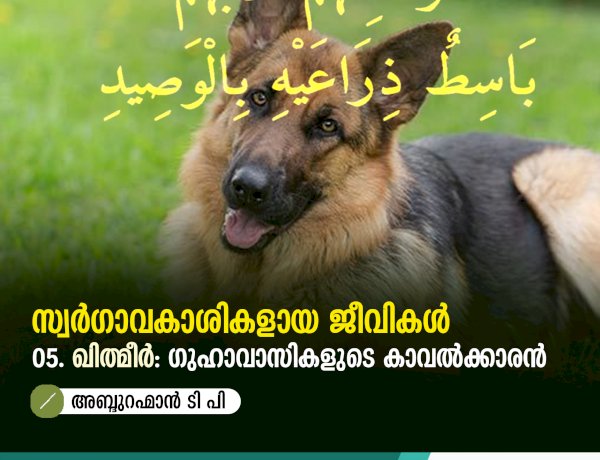 സ്വര്‍ഗ്ഗാവകാശികളായ ജീവികള്‍ 05:  ഖിഥ്മീർ: ഗുഹാവാസികളുടെ കാവൽക്കാരൻ