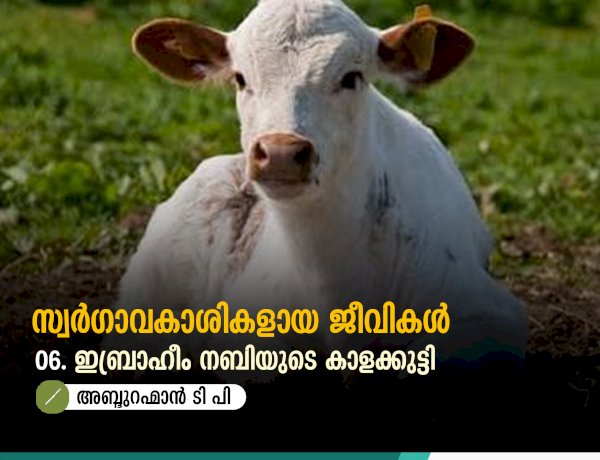 സ്വര്‍ഗ്ഗാവകാശികളായ ജീവികള്‍ 06.ഇബ്രാഹീം നബിയുടെ കാളക്കുട്ടി
