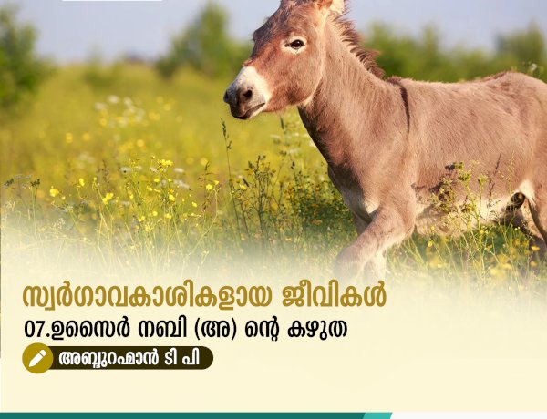 സ്വര്‍ഗ്ഗാവകാശികളായ ജീവികള്‍ 07.ഉസൈർ നബി (അ) ൻ്റെ കഴുത