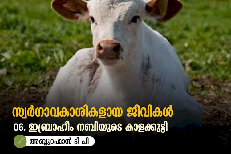 സ്വര്‍ഗ്ഗാവകാശികളായ ജീവികള്‍ 06.ഇബ്രാഹീം നബിയുടെ കാളക്കുട്ടി