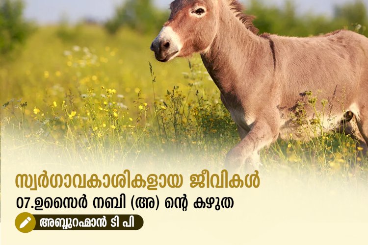 സ്വര്‍ഗ്ഗാവകാശികളായ ജീവികള്‍ 07.ഉസൈർ നബി (അ) ൻ്റെ കഴുത