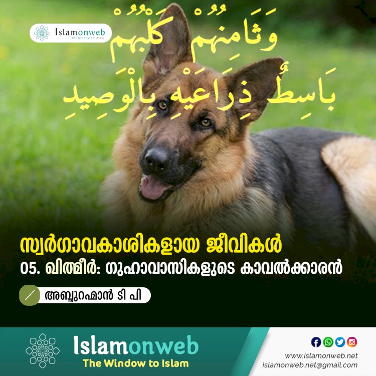 സ്വര്‍ഗ്ഗാവകാശികളായ ജീവികള്‍ 05:  ഖിഥ്മീർ: ഗുഹാവാസികളുടെ കാവൽക്കാരൻ