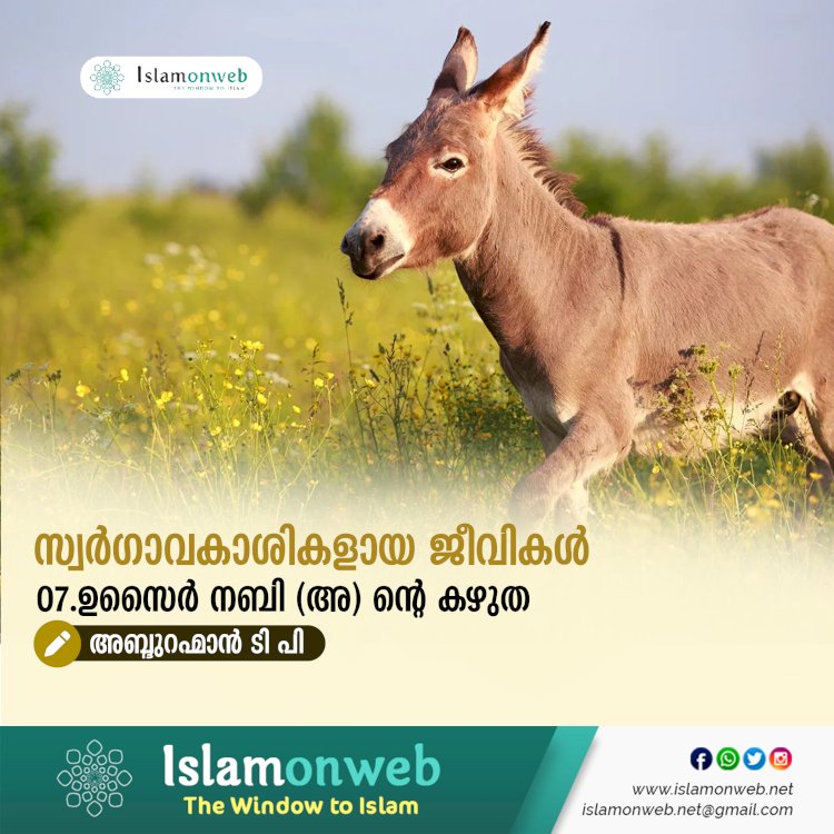 സ്വര്‍ഗ്ഗാവകാശികളായ ജീവികള്‍ 07.ഉസൈർ നബി (അ) ൻ്റെ കഴുത