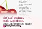 പിങ്ക് ചെറി ഇസ്‌ലാമും തട്ടമിട്ട ഫെമിനിസവും: ഒരു പോസ്റ്റ് സെക്കുലർ വായന