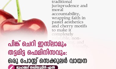 പിങ്ക് ചെറി ഇസ്‌ലാമും തട്ടമിട്ട ഫെമിനിസവും: ഒരു പോസ്റ്റ് സെക്കുലർ വായന