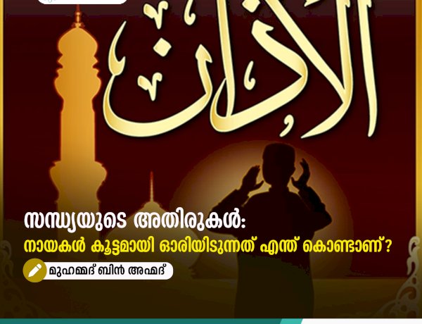 സന്ധ്യയുടെ അതിരുകൾ: നായകൾ കൂട്ടമായി ഓരിയിടുന്നത് എന്ത് കൊണ്ടാണ്?