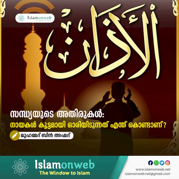 സന്ധ്യയുടെ അതിരുകൾ: നായകൾ കൂട്ടമായി ഓരിയിടുന്നത് എന്ത് കൊണ്ടാണ്?