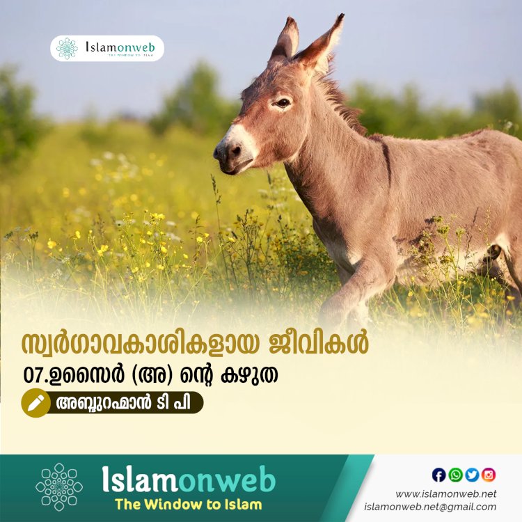 സ്വര്‍ഗ്ഗാവകാശികളായ ജീവികള്‍ 07.ഉസൈർ (അ) ൻ്റെ കഴുത