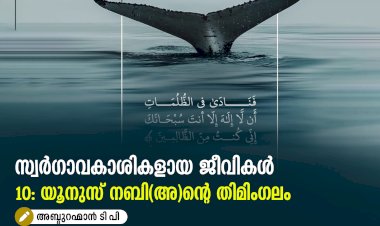 സ്വര്‍ഗ്ഗാവകാശികളായ ജീവികള്‍10: യൂനുസ് നബി(അ)ന്റെ തിമിംഗലം